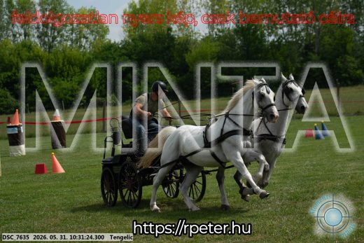 Mintakép 20260531-1896