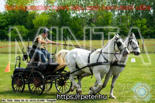 Mintakép 20260531-1897