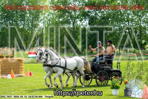 Mintakép 20260531-1898