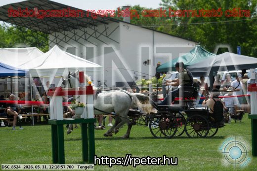 Mintakép 20260531-1904