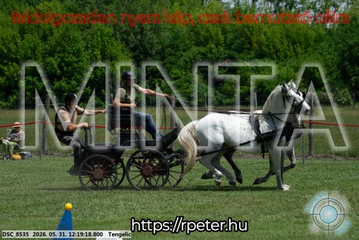 Mintakép 20260531-1913
