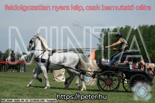 Mintakép 20260531-1922