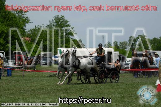Mintakép 20260531-1923