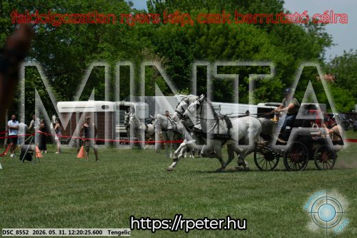 Mintakép 20260531-1928