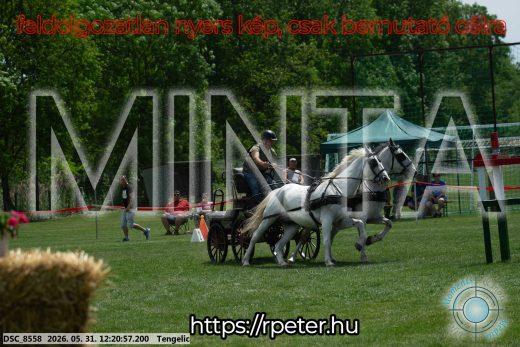 Mintakép 20260531-1931