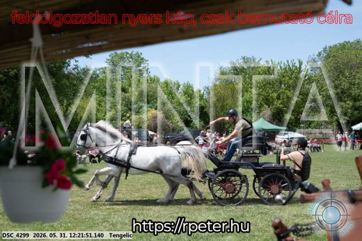 Mintakép 20260531-1935