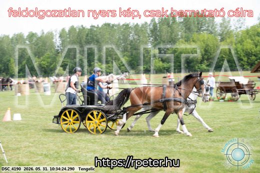 Mintakép 20260531-1951