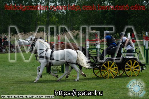 Mintakép 20260531-1959