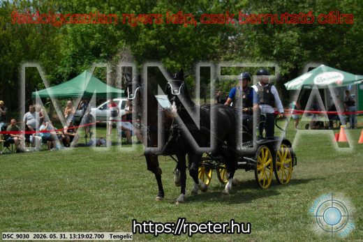 Mintakép 20260531-1966