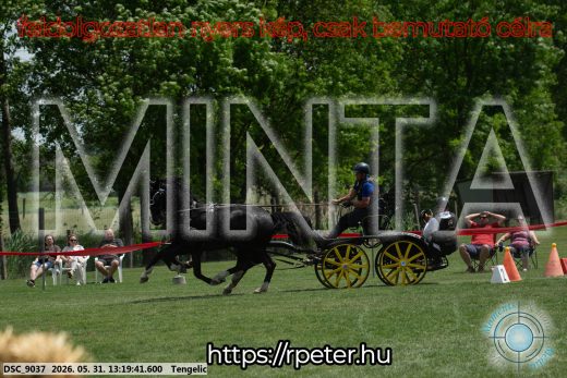 Mintakép 20260531-1979