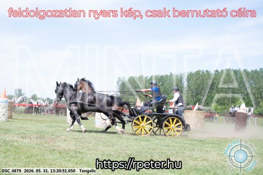 Mintakép 20260531-2003