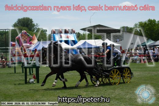 Mintakép 20260531-2015