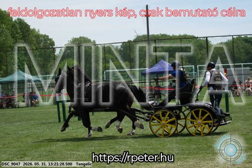 Mintakép 20260531-2018