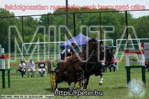 Mintakép 20260531-2022
