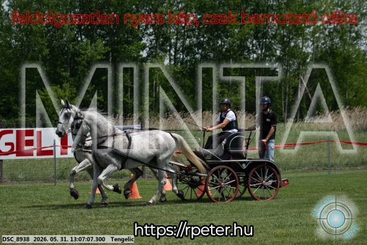 20260531-130707-DSC_8938.jpg