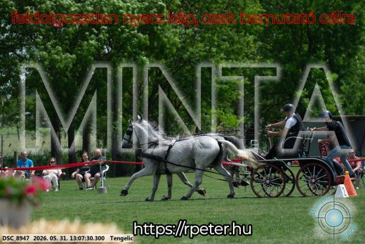 Mintakép 20260531-2041