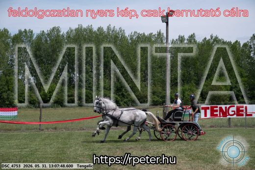 Mintakép 20260531-2043