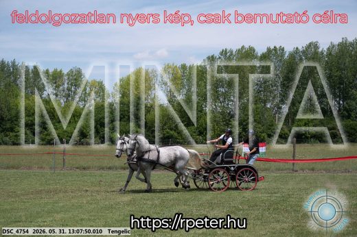 Mintakép 20260531-2044