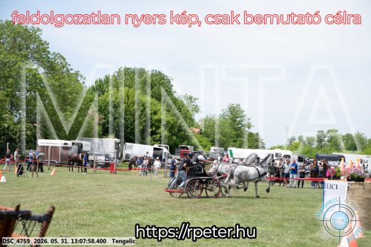 Mintakép 20260531-2049