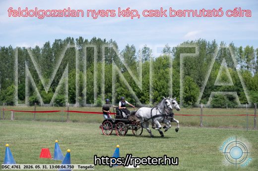 Mintakép 20260531-2051