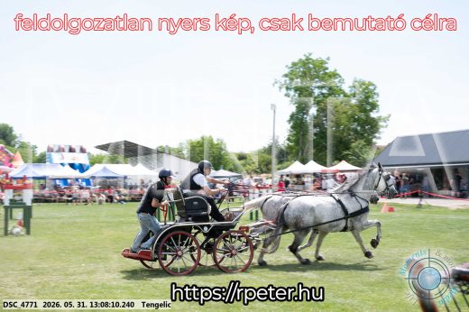 Mintakép 20260531-2059