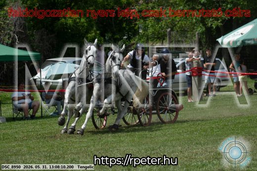 Mintakép 20260531-2060