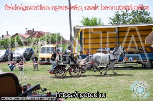 Mintakép 20260531-2062