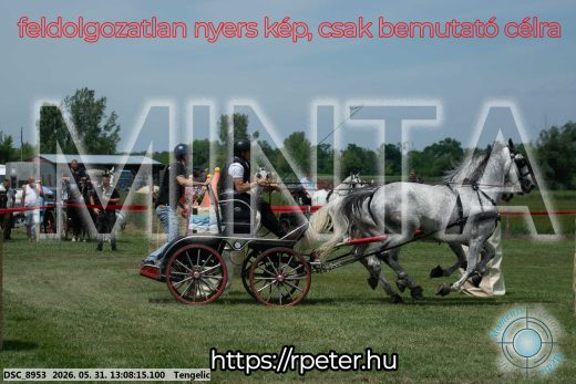 Mintakép 20260531-2064