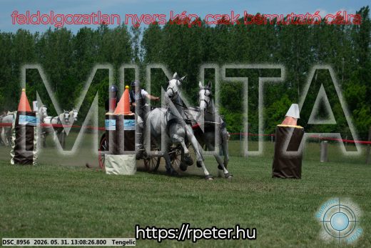 Mintakép 20260531-2067