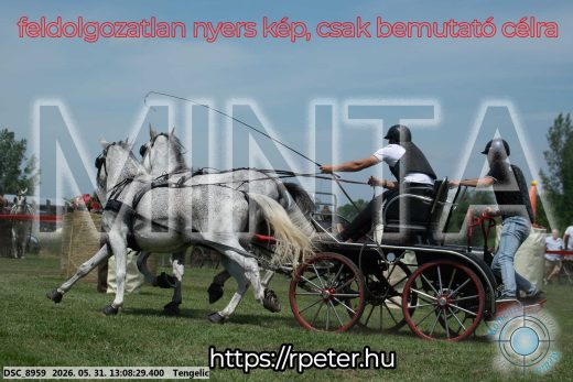 Mintakép 20260531-2070