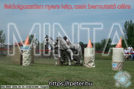 Mintakép 20260531-2071