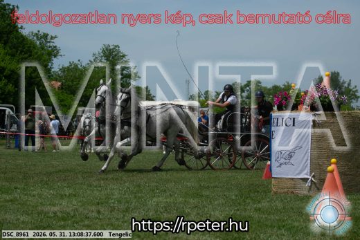 Mintakép 20260531-2072
