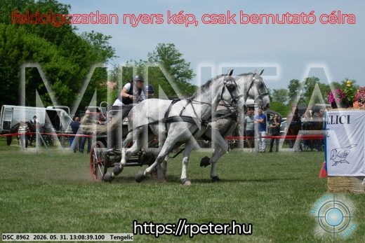Mintakép 20260531-2073