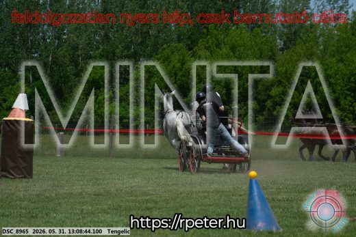 Mintakép 20260531-2075