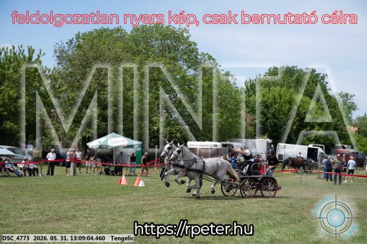 Mintakép 20260531-2078