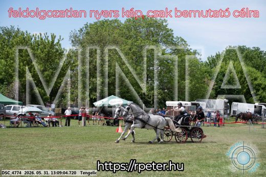 Mintakép 20260531-2079