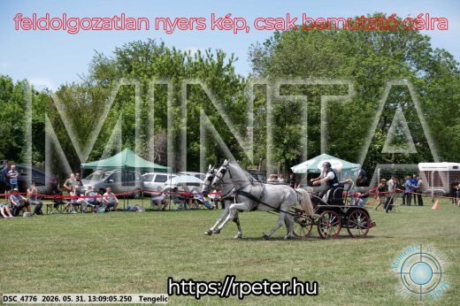 Mintakép 20260531-2081