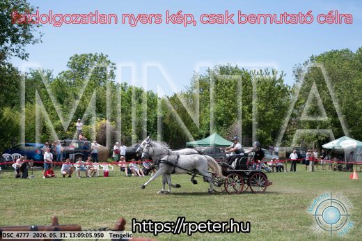Mintakép 20260531-2082