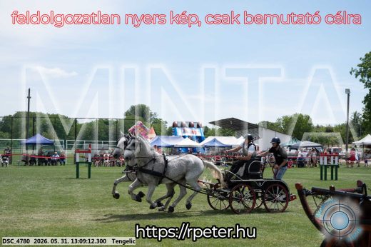Mintakép 20260531-2085
