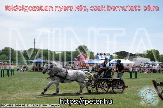 Mintakép 20260531-2086