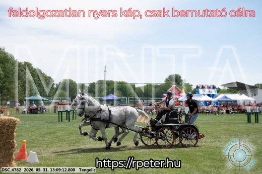 Mintakép 20260531-2087