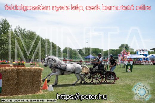Mintakép 20260531-2088