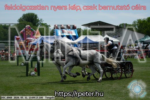 Mintakép 20260531-2089
