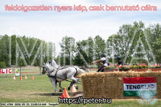 Mintakép 20260531-2090