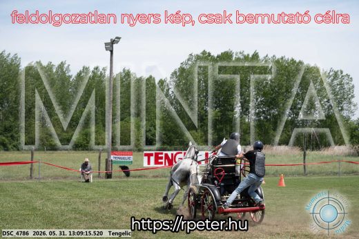 Mintakép 20260531-2092