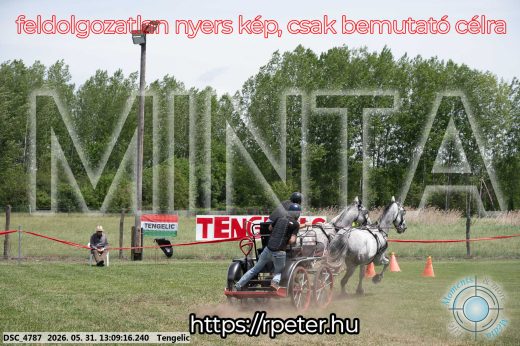 Mintakép 20260531-2093