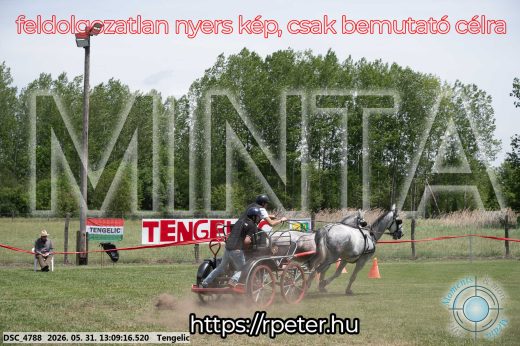 Mintakép 20260531-2094