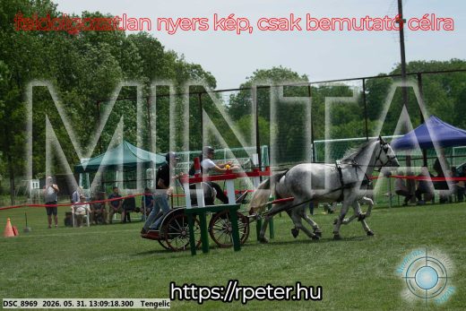 Mintakép 20260531-2097