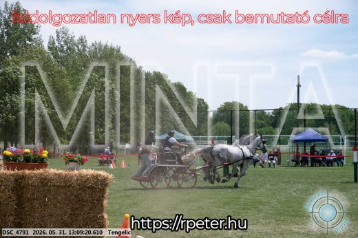 Mintakép 20260531-2098