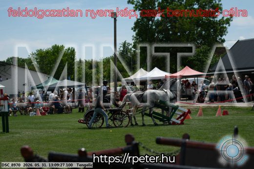 Mintakép 20260531-2099